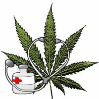 cannabis terapeutica